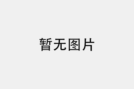 带式过滤机主要由传动装置、支架、推力辊、上滤带、下滤带等构成