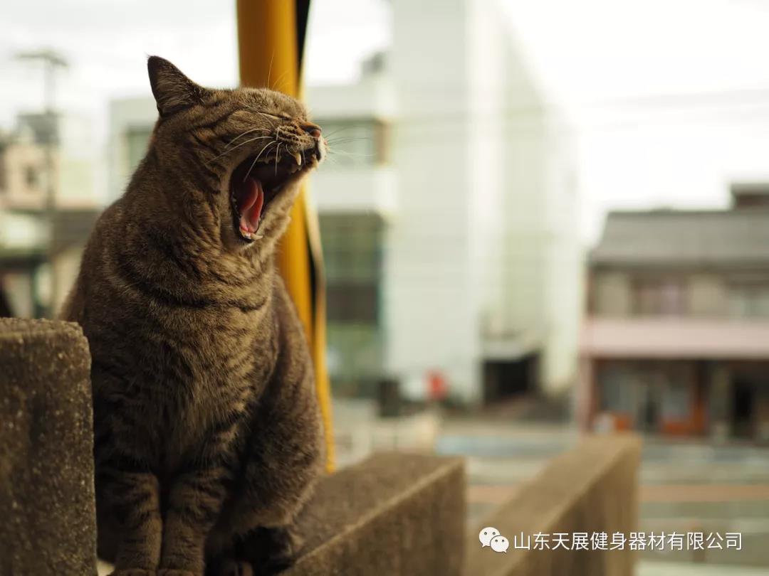 微信图片_20210820175356.jpg 微信图片_20210820175356.jpg